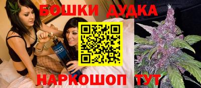 apvp Лесосибирск
