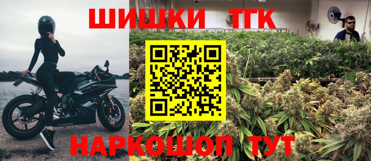 Бошки Шишки планчик Сосновый Бор